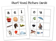 Short &amp; Long Vowel Picture Cards
