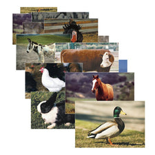 Farm Animal Poster Set Set Of 10