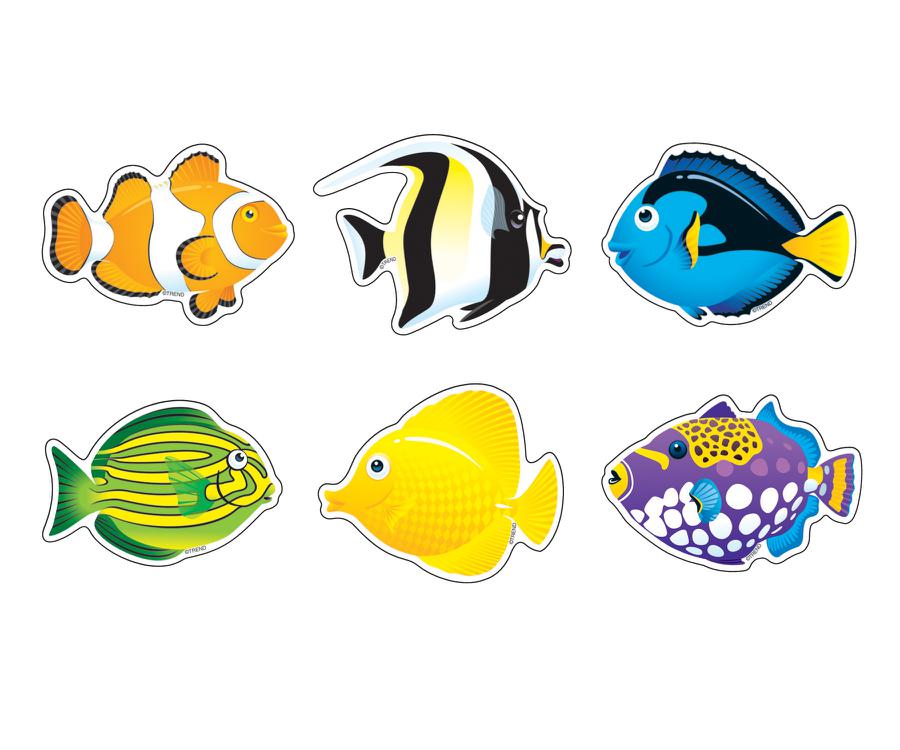 Fish Mini Accents Variety Pack