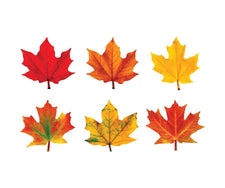 Maple Leaves Classic Accents® Variety Pack