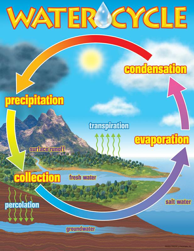 The Water Cycle Learning Chart