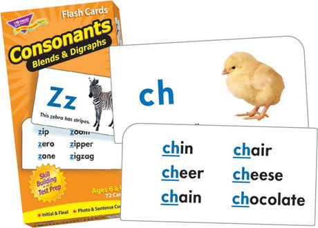 Consonants Skill Drill Flash Cards