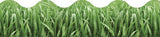 Grass Terrific Trimmers® 