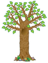 Seasonal Tree Bulletin Board Display Set