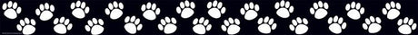 Black/White Paw Prints Straight Border Trim