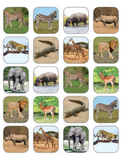 Safari Animals Stickers 