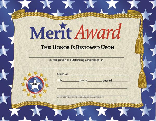 Merit Award 2