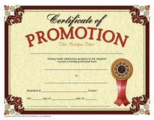 Certificate of Promotion 2