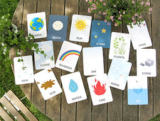 Vocabulary Flash Cards for Earth Day
