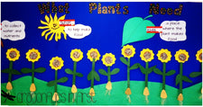 "What Plants Need" Bulletin Board Idea for Spring
